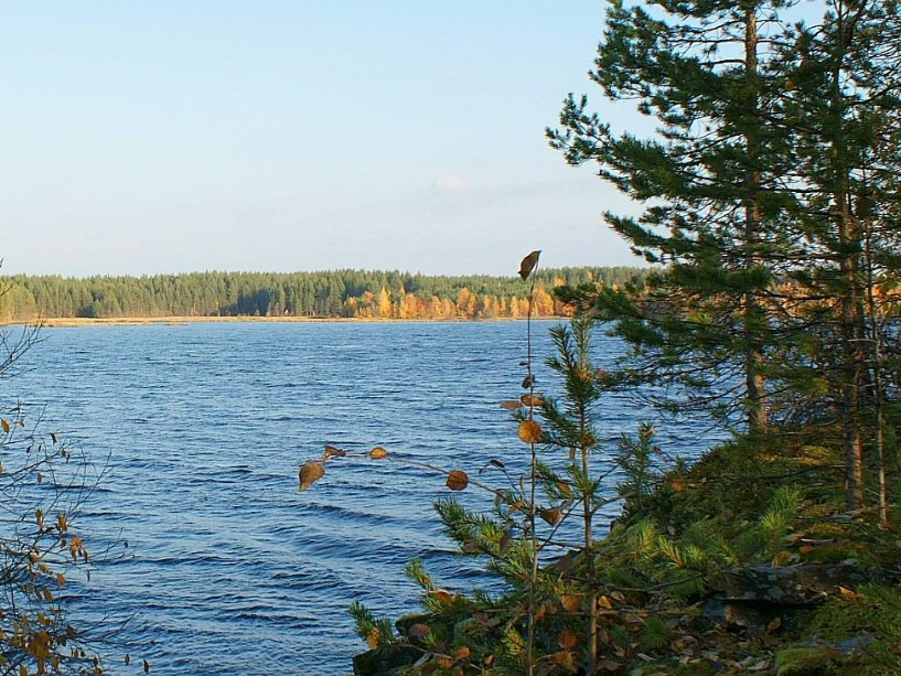 Фото: Google Карты / Viktor Gayday