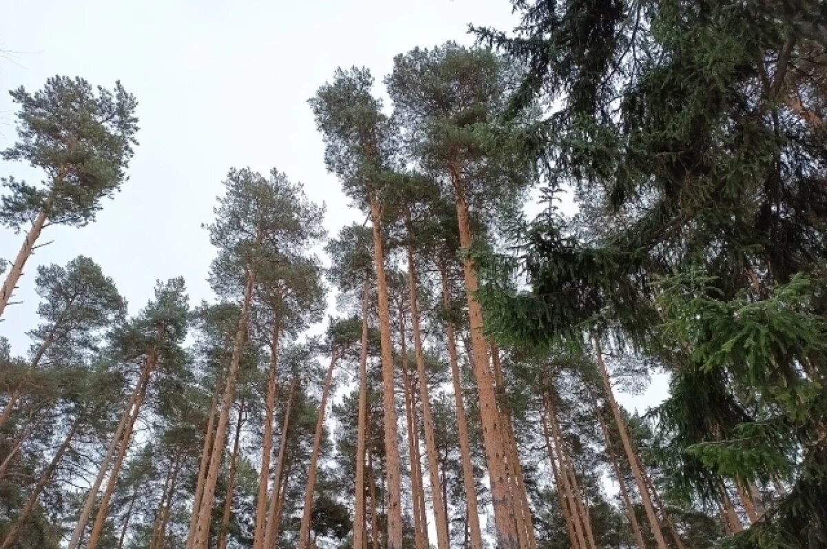    Появилось видео поиска 6-летнего мальчика, которого 3 дня искали в Прикамье