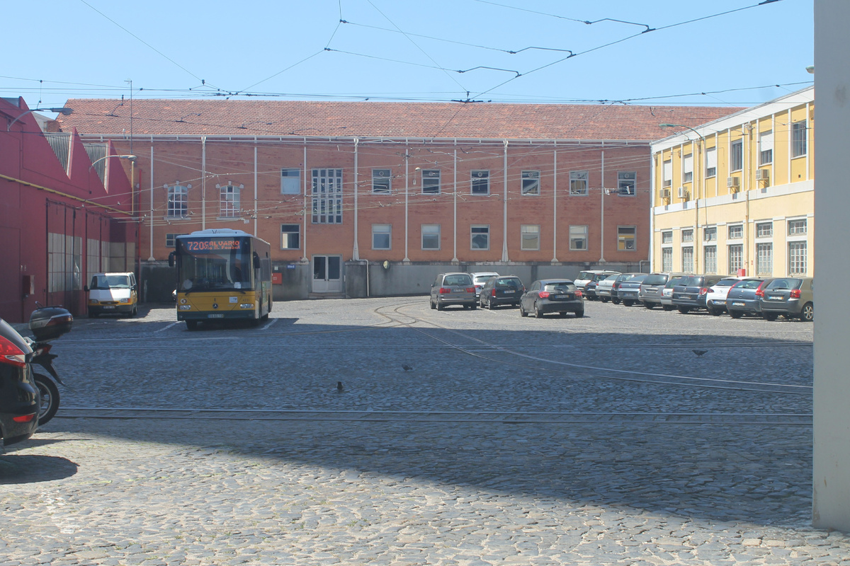 На территории музея