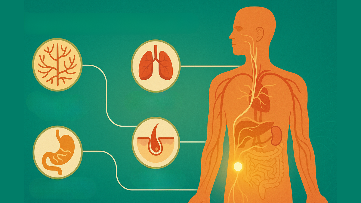 Цигун под микроскопом