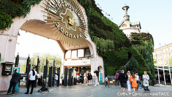     Фото: Софья Сандурская/ТАСС   
 Текст: Ольга Иванова