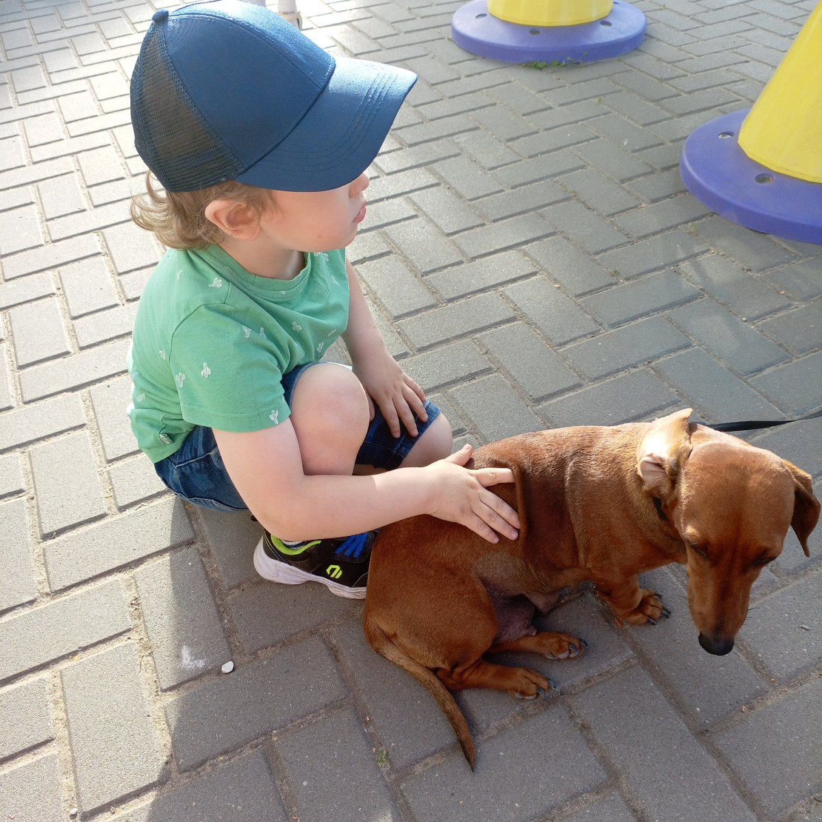 27 мая 2025 года