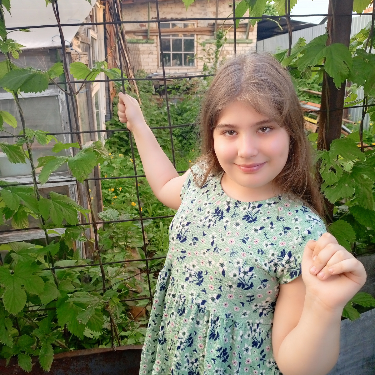 Фото сделано автором канала