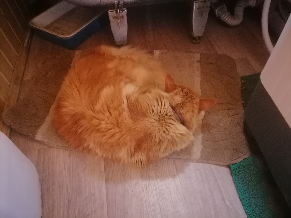 Сашка решила, что в ванной прохладнее всего