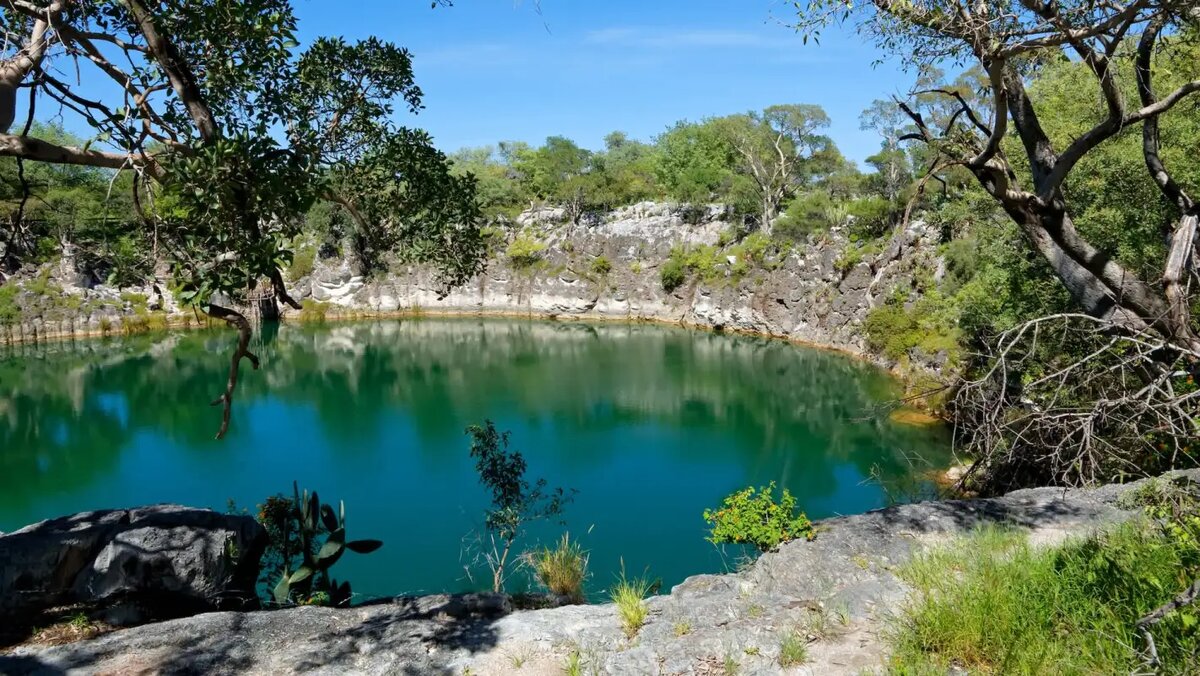 Озер Очикото