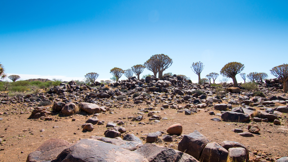 Giants' Playground - "Игровая площадка гигантов"