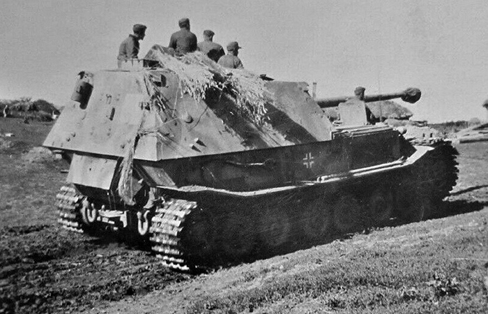 Фердинанд был очень медлительным./ Фото: pinterest.com