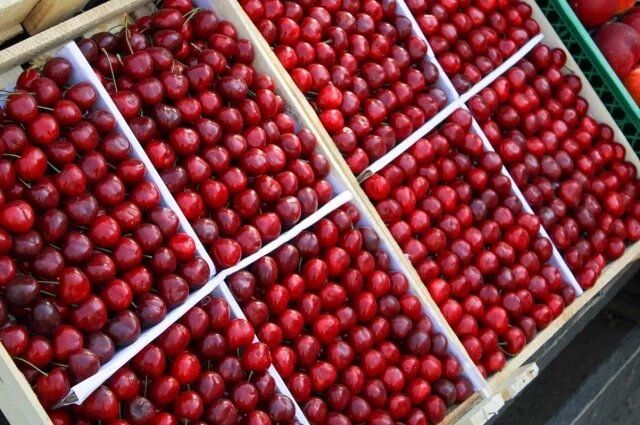    Безопасна ли ранняя черешня, которая сейчас появилась на рынках?