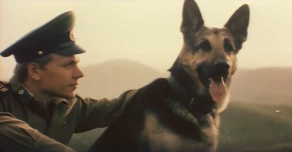   Кадр из фильма «Пограничный пёс Алый», киностудия им. М. Горького, 1979 г.