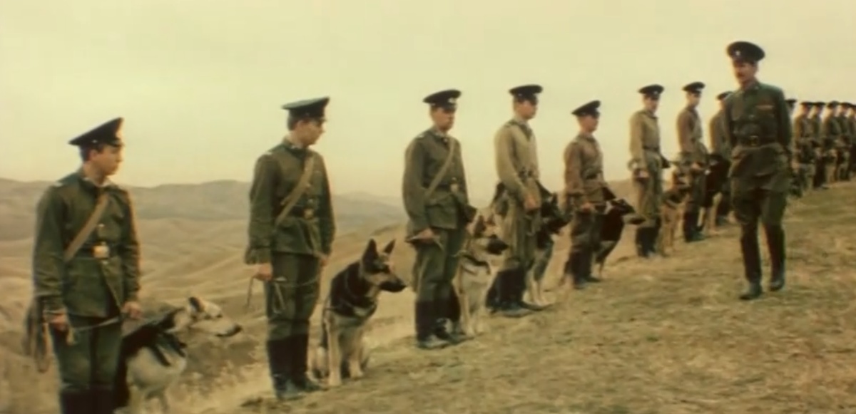   Кадр из фильма «Пограничный пёс Алый», киностудия им. М. Горького, 1979 г.