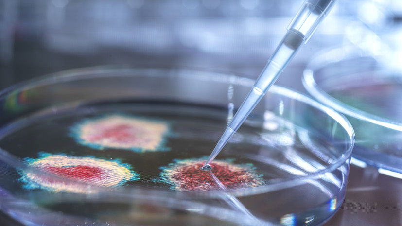   Gettyimages.ru TEK IMAGE / SCIENCE PHOTO LIBRARY