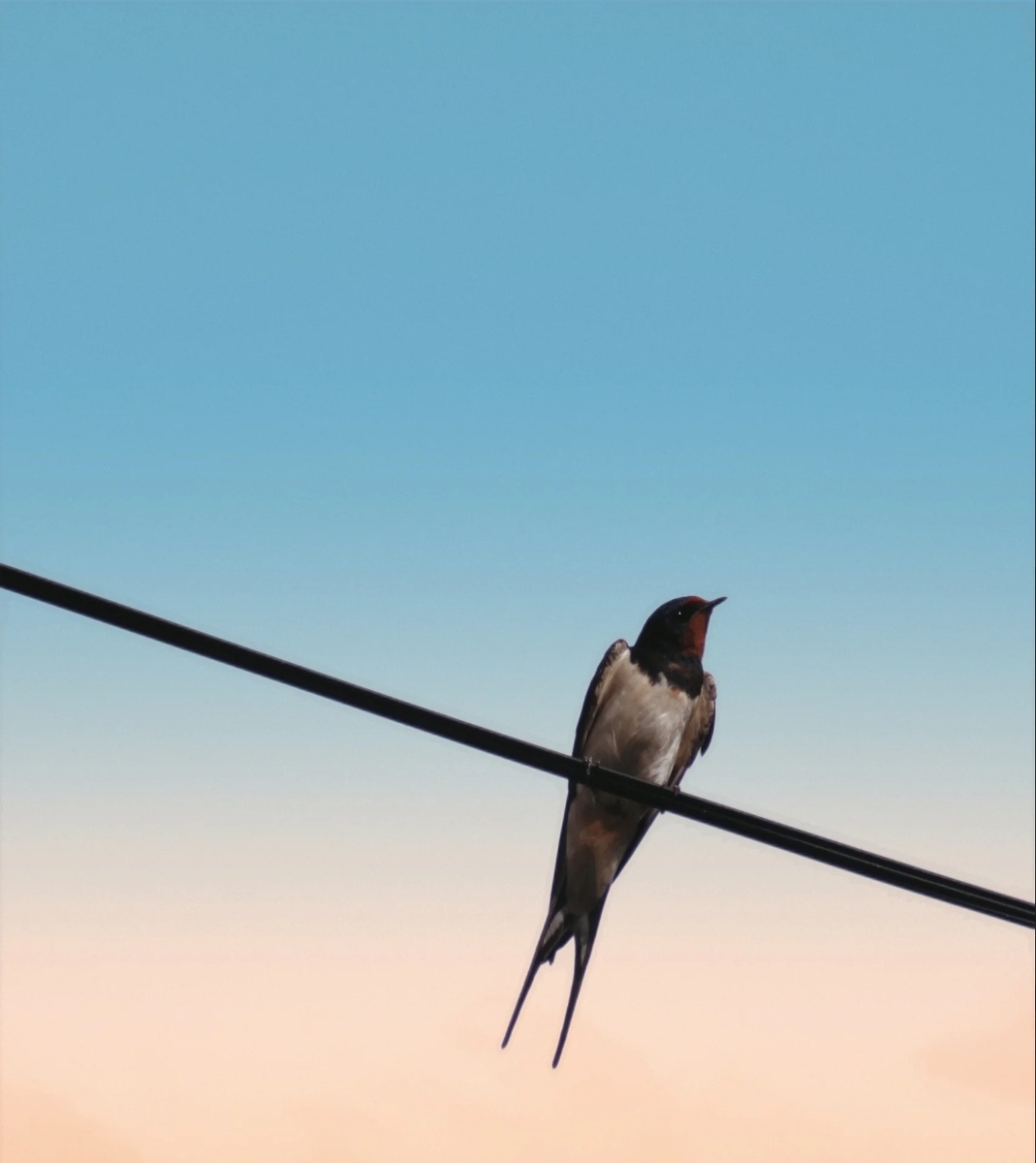 Фото с простор интернета 