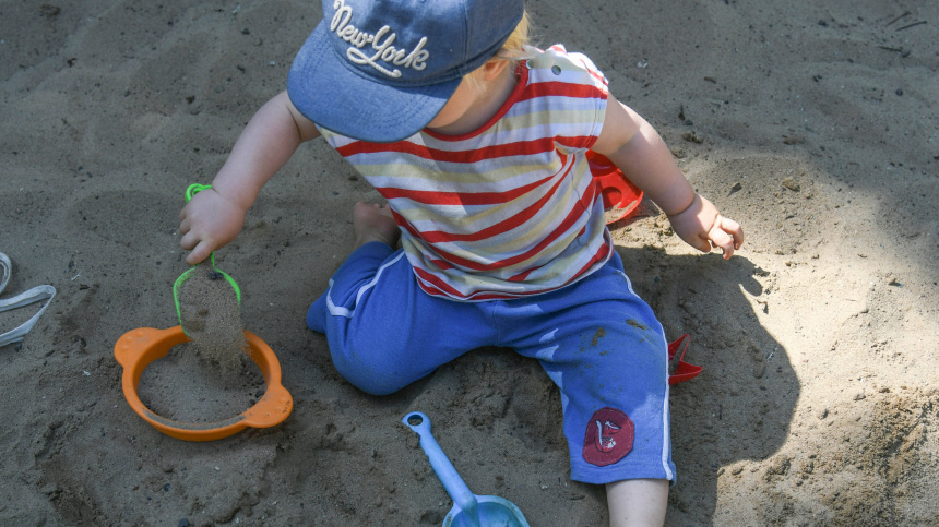    Фото: Winfried Rothermel via/ТАСС