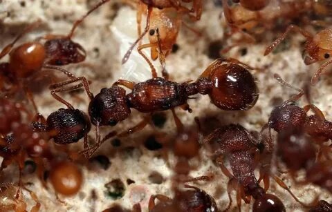 Фотографии взяты из открытых источников