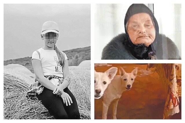    Растерзанная в Ставрополе девочка, собаки-убийцы и баба Алла, их хозяйка. Фото: АиФ