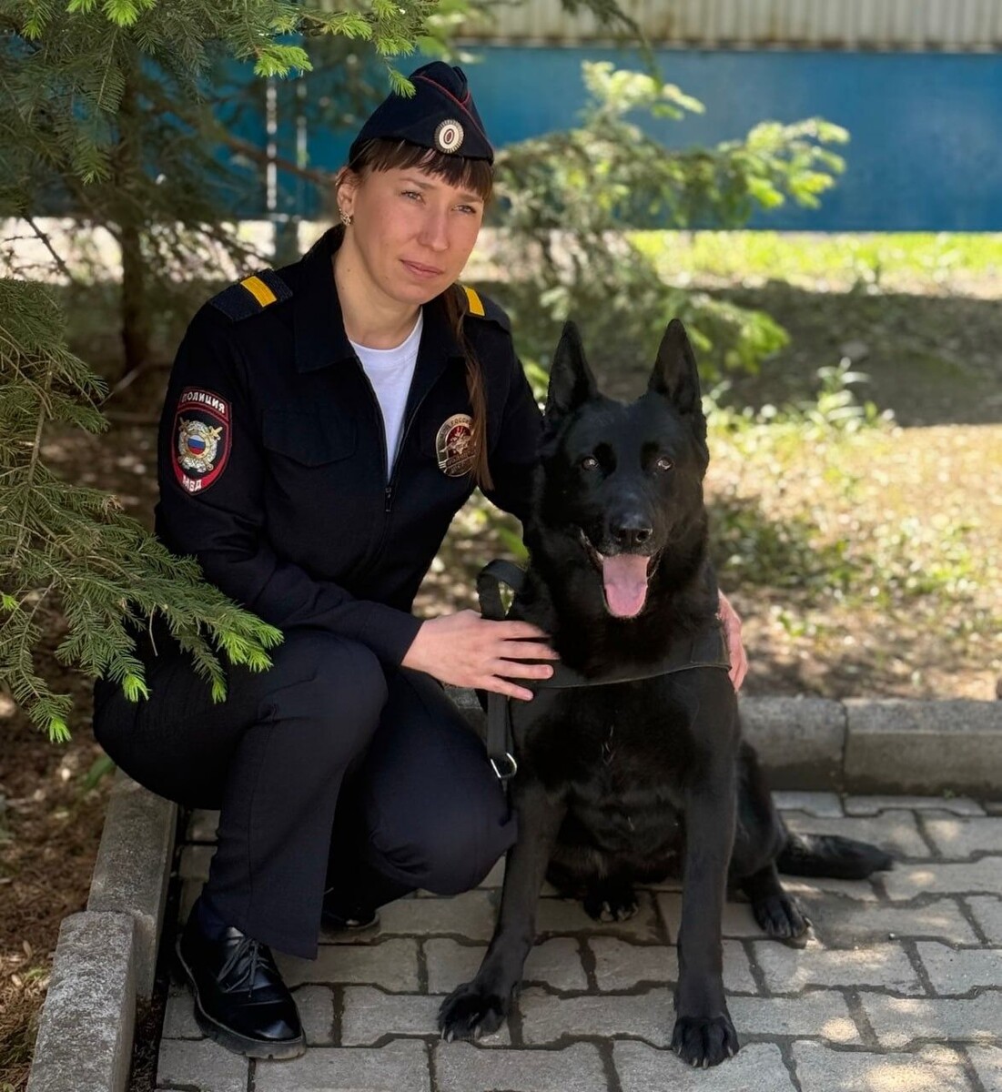     Источник: prim_police