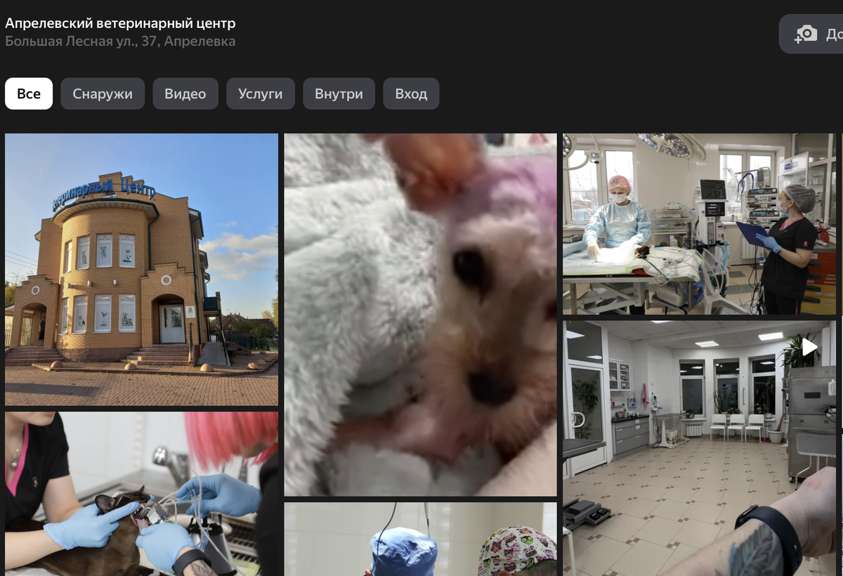 
Апрелевский ветеринарный центр не смог спасти собаку после стрижки в груминг-ценре Милана, который находится в их здании