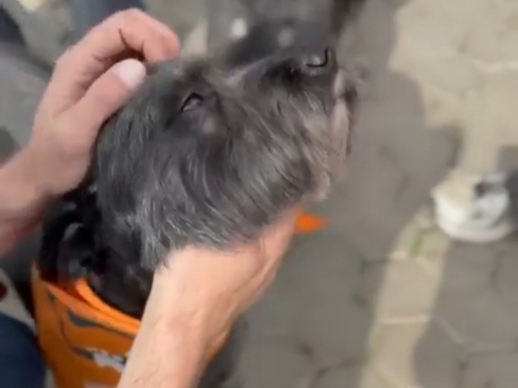     Юлия Бабенко