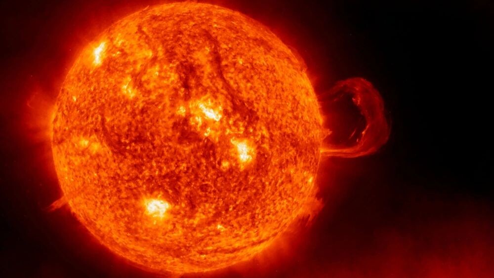    Фото: Artsiom P/Shutterstock/Fotodom