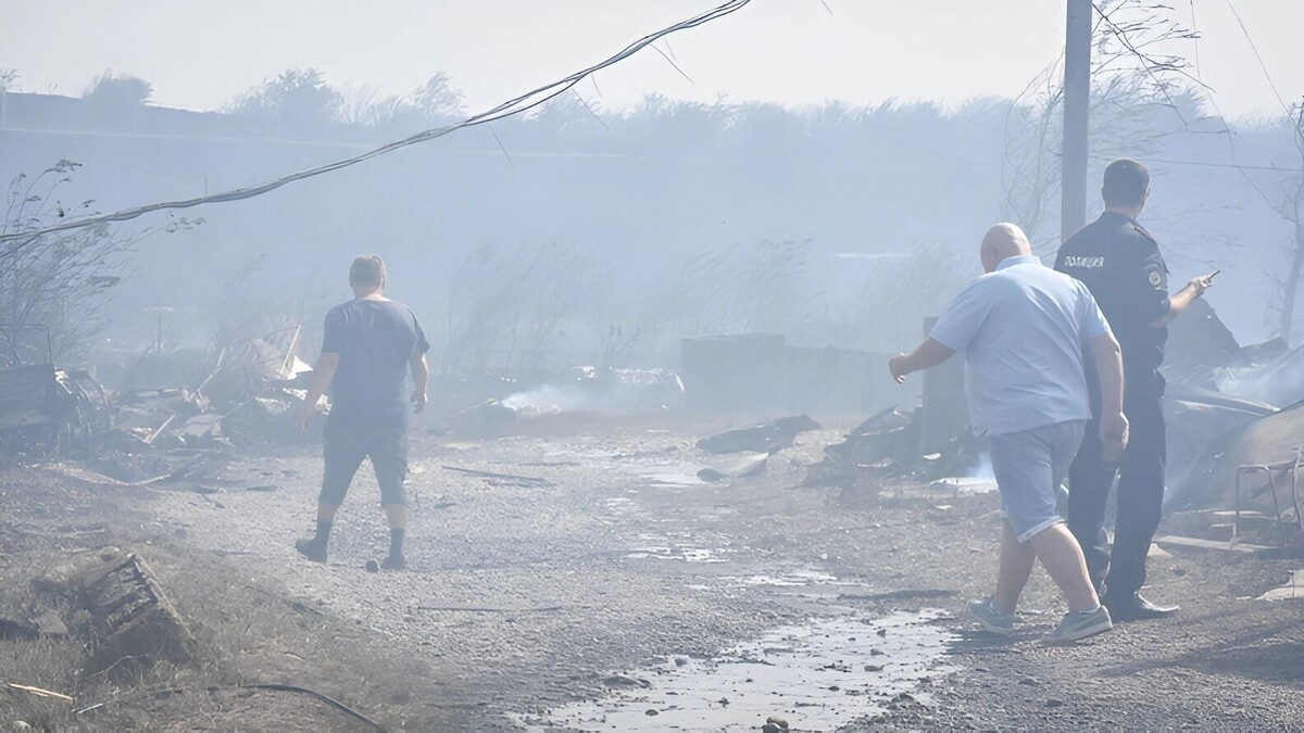     Источник: 1MI