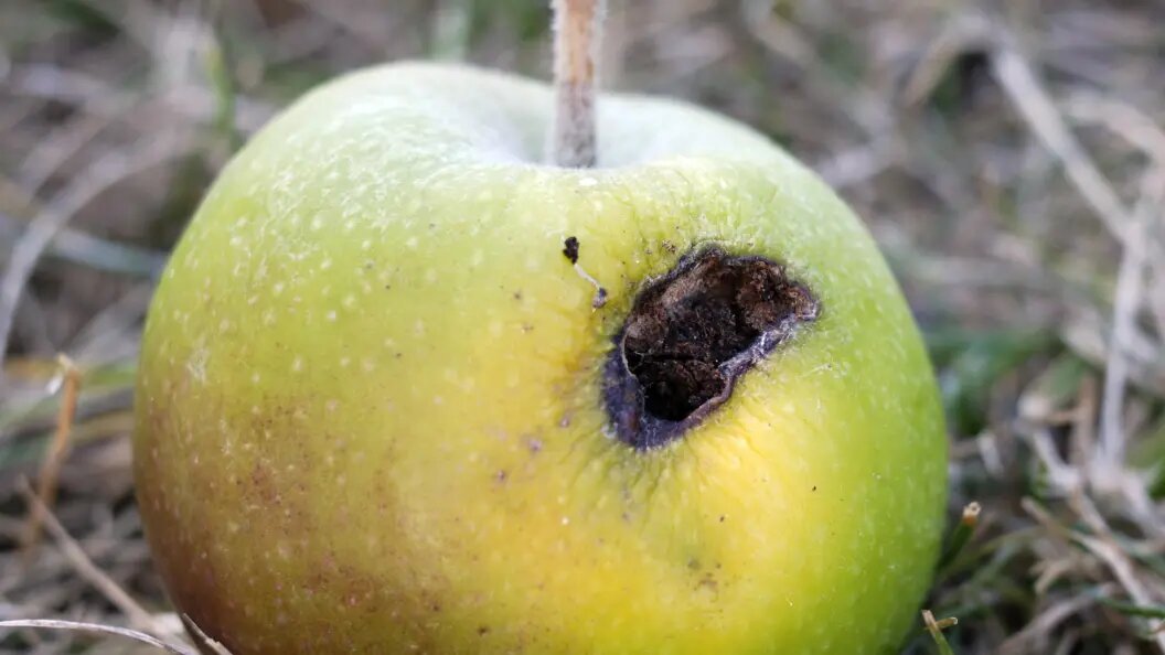    Alex Hinds/imageBROKER.com/Globallookpress