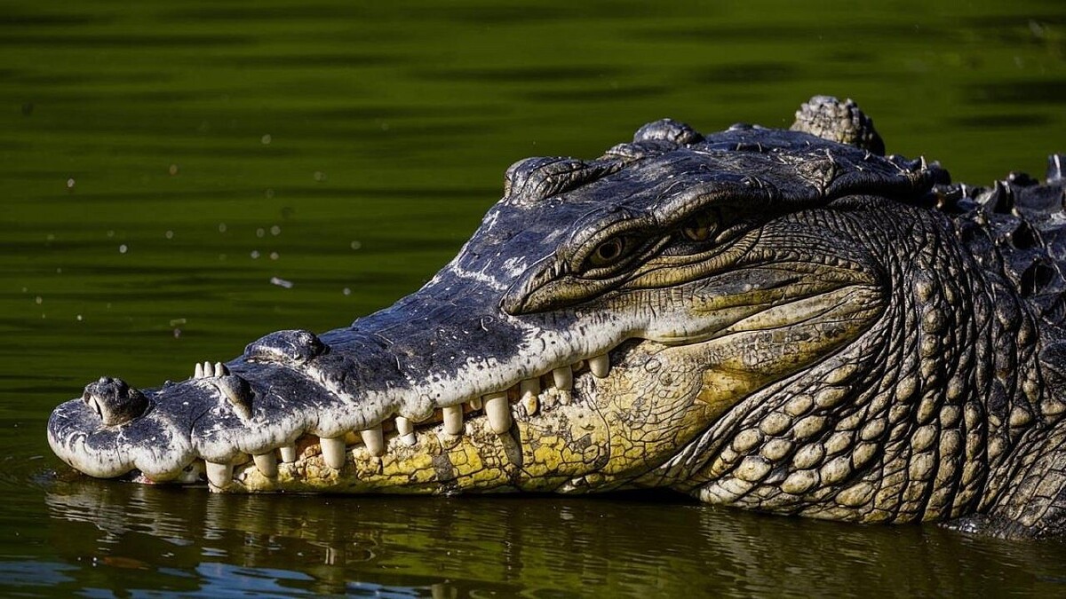    Изображение сгенерировано с помощью ИИ