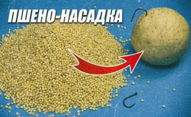 Пшено как насадка для рыбалки. Источник фото yandex.ru