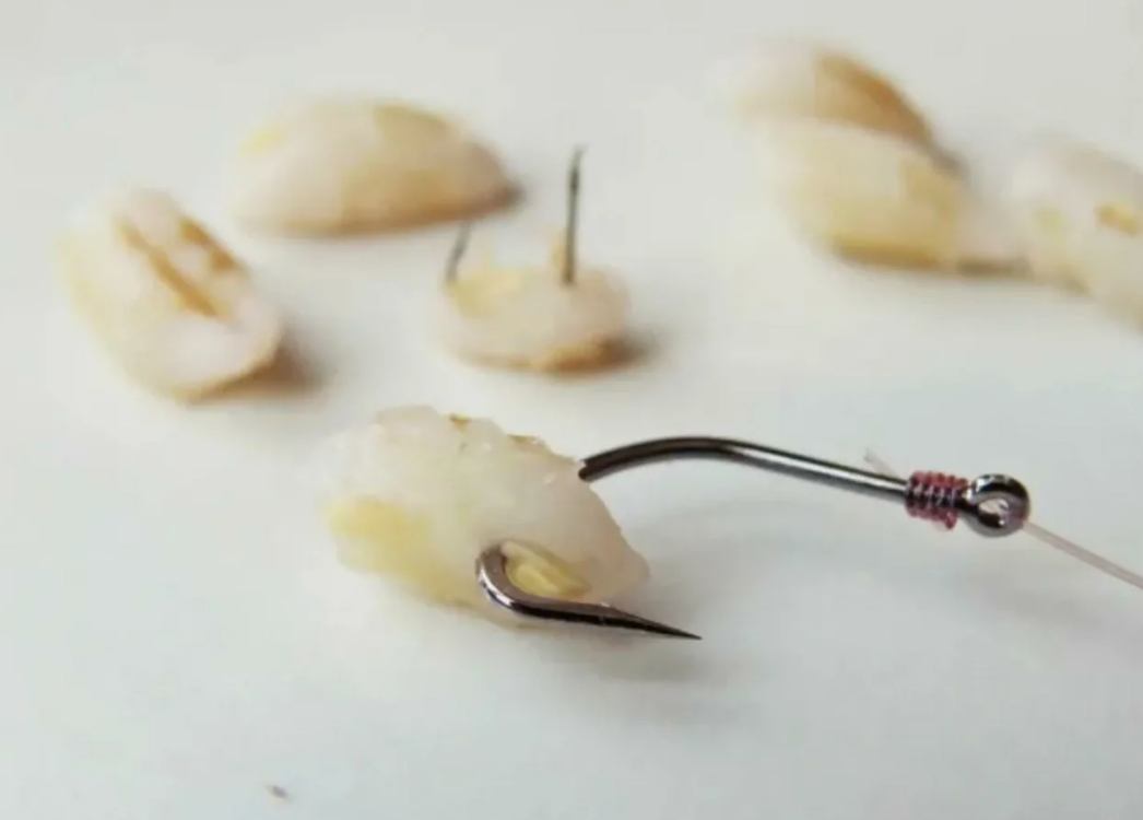 Перловка на рыболовном крючке. Источник фото kasheloff.ru