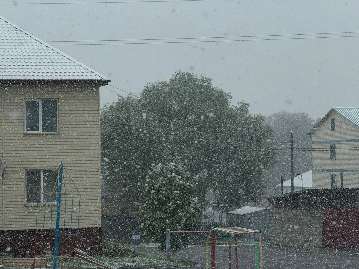     Источник: atas.info