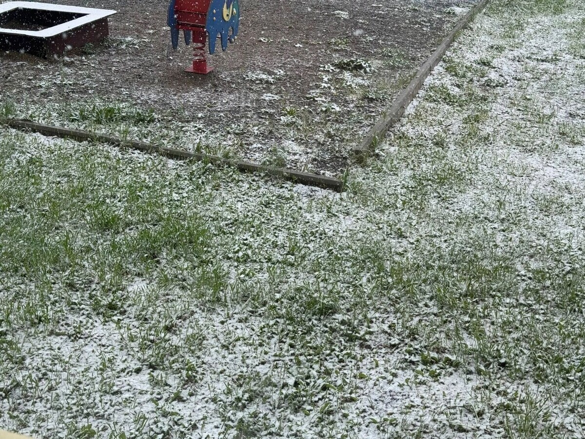     Источник: atas.info