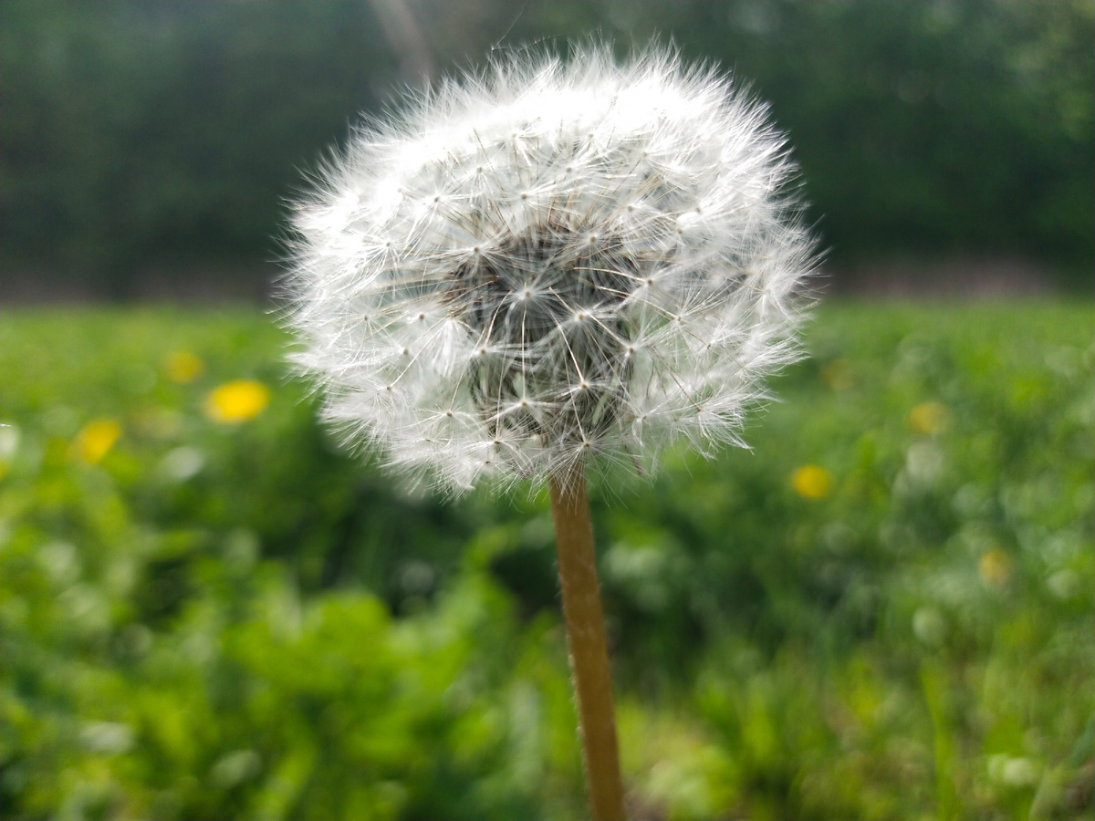 Личное фото