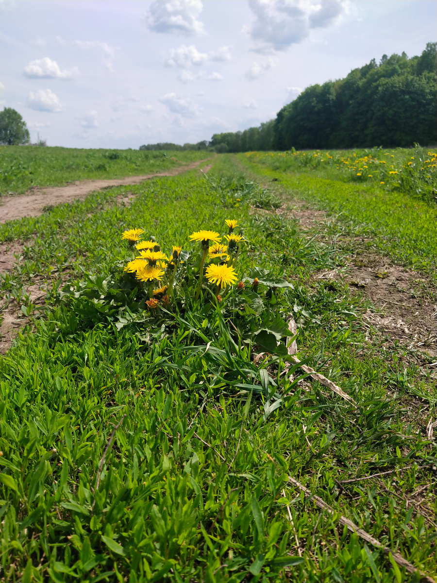 Личное фото