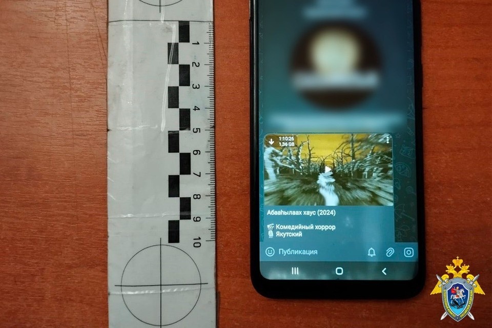    Житель Чурапчинского района осужден за незаконное распространение якутских фильмов Фото: СК Якутии