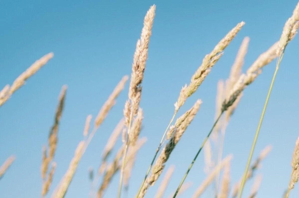    В Астрахани сохранится сильный ветер 28 мая