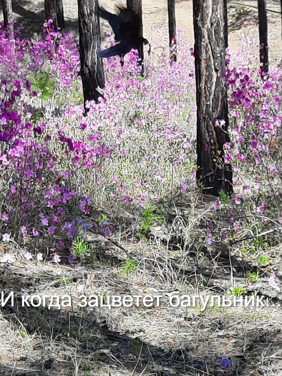 Фото автора.