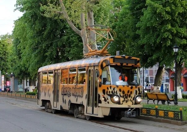    Фото: Открытый источник