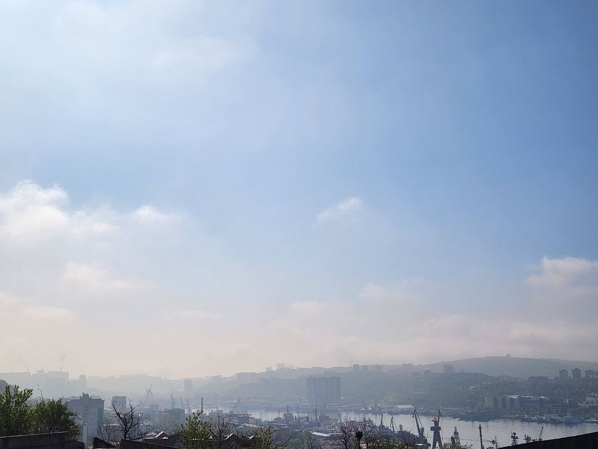     Источник: vostokmedia.com