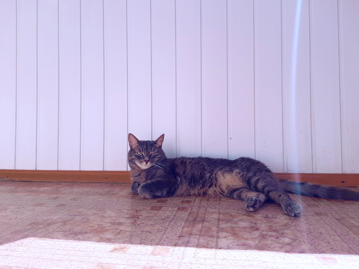 А бёдра-то! БЁДРА! 😻