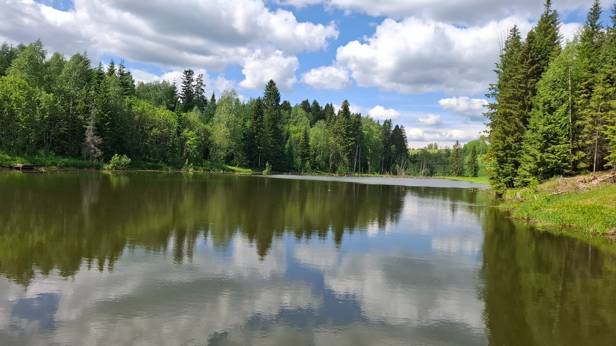 Пруд у ключика. Всегда садимся на скамейку и медитируем. Красота!
