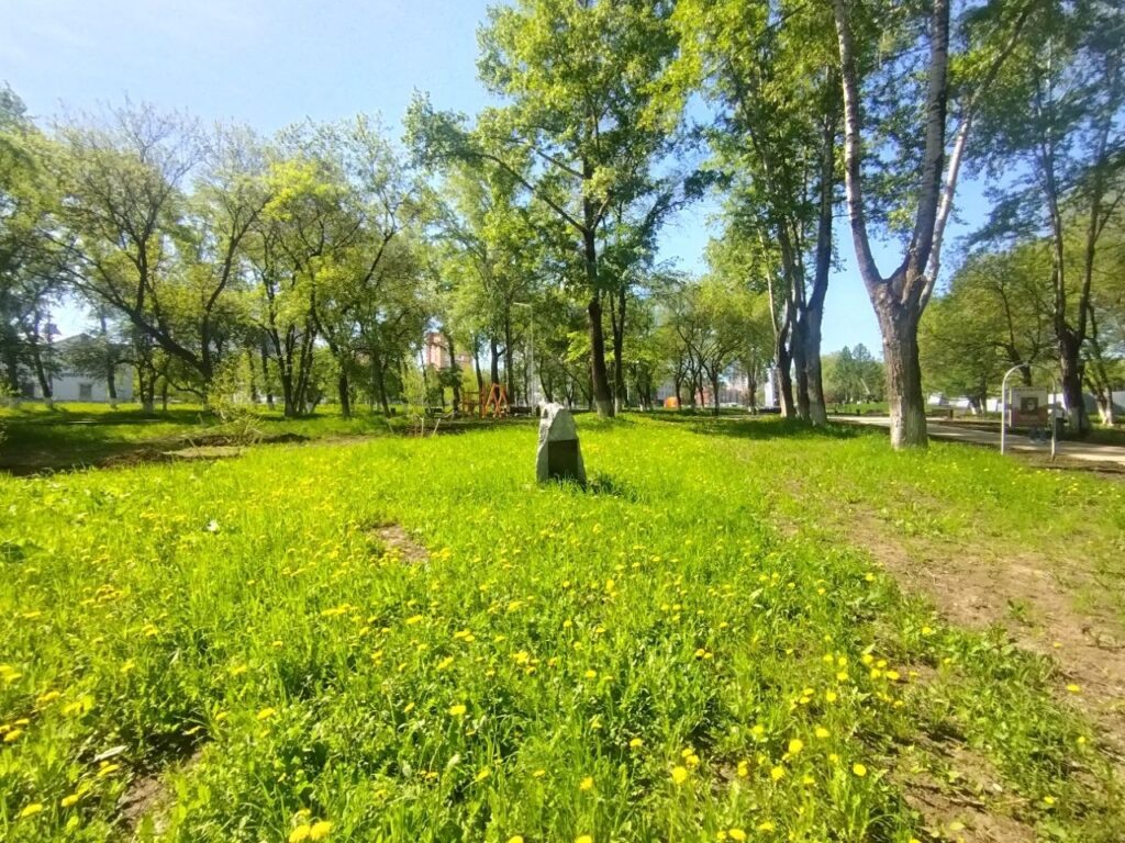    Фото: В курсе.ру Полина Анкушина