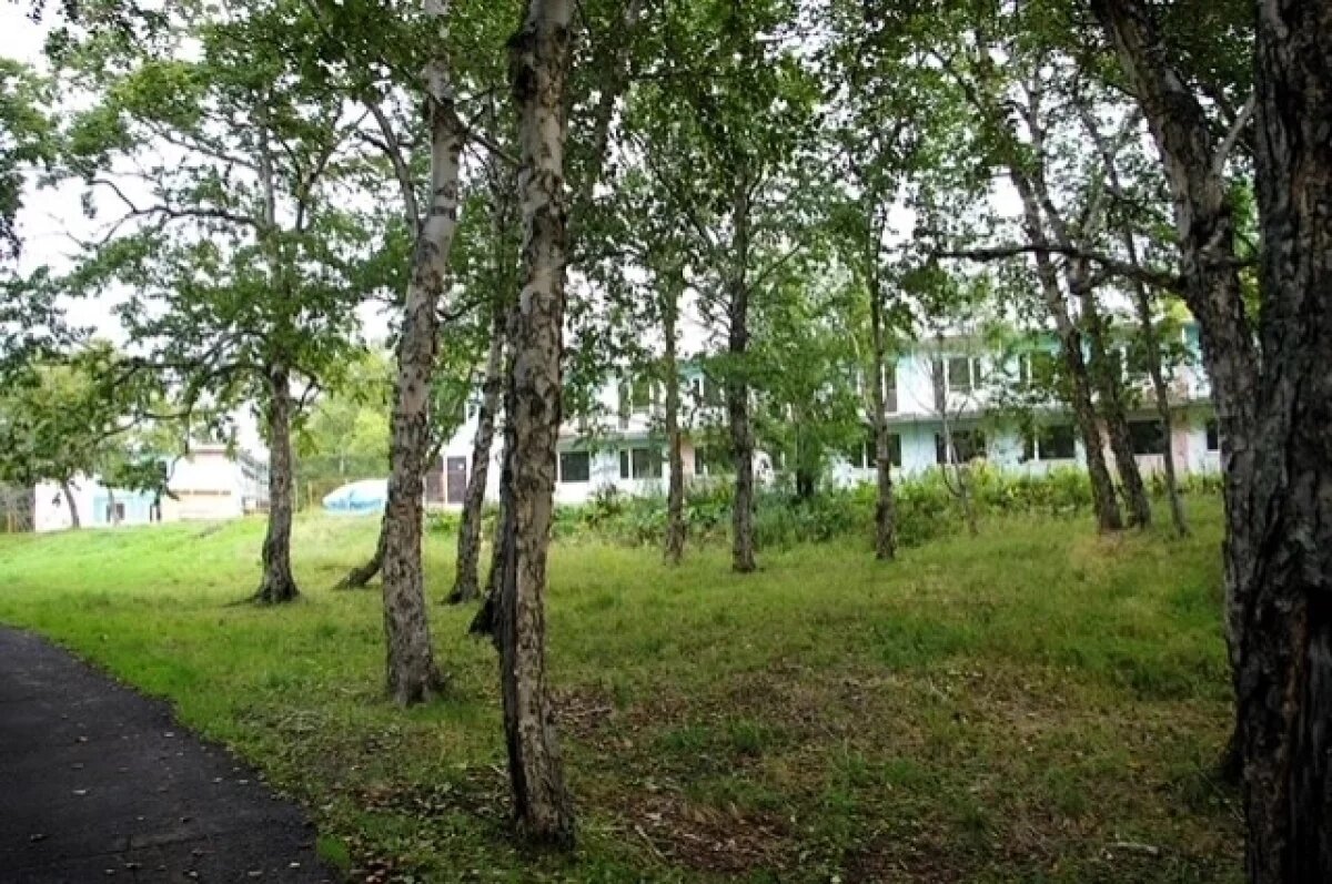    Молодежный центр «Экосистема» готовится к летним тематическим сменам