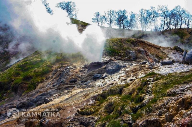 Фото: Долина Гейзеров / Виктор Гуменюк / ИА «Камчатка»
