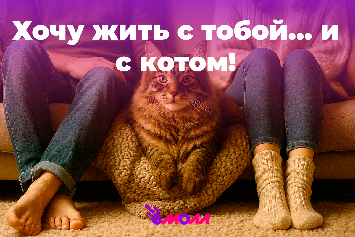 Хочу жить с тобой… и с котом!