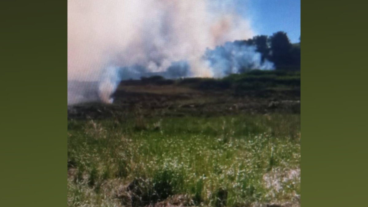    За сутки в Башкортостане зафиксировали три случая возгорания сухой травы