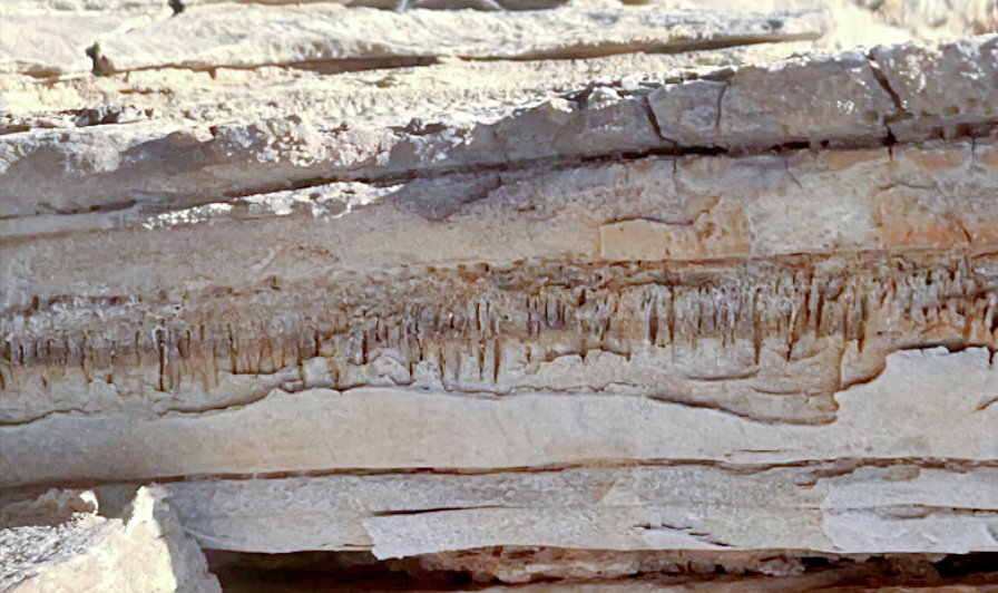 На сколе видны ровные борозды. Источник фото: new-science.ru