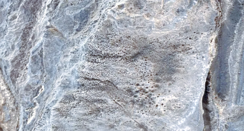 Глыба мрамора, испещрённая микроходами, снимок: Cees Passchier