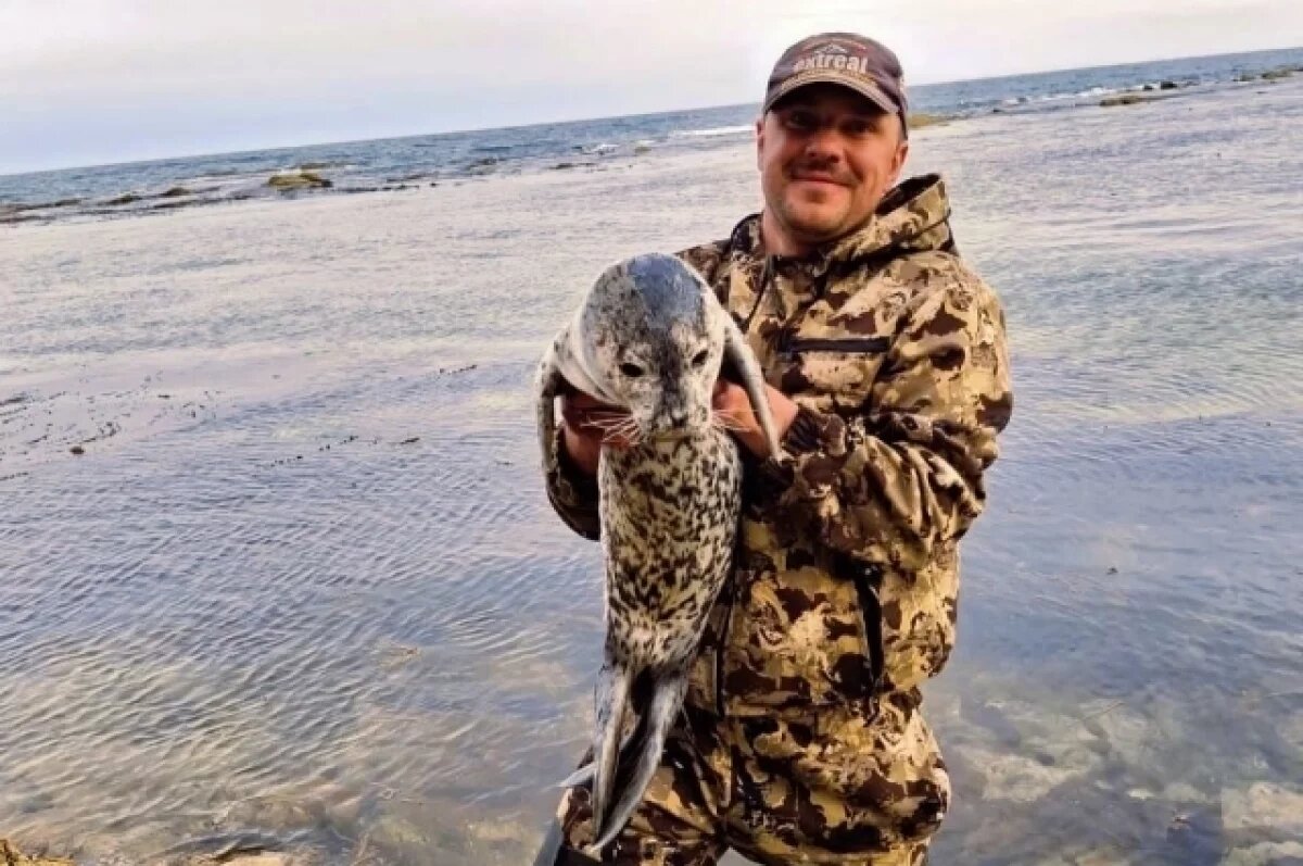    если бы они заранее знали о такой травме, поехали бы все равно за ним, так как многих выживших тюлений попадет к ним с таким диагнозом