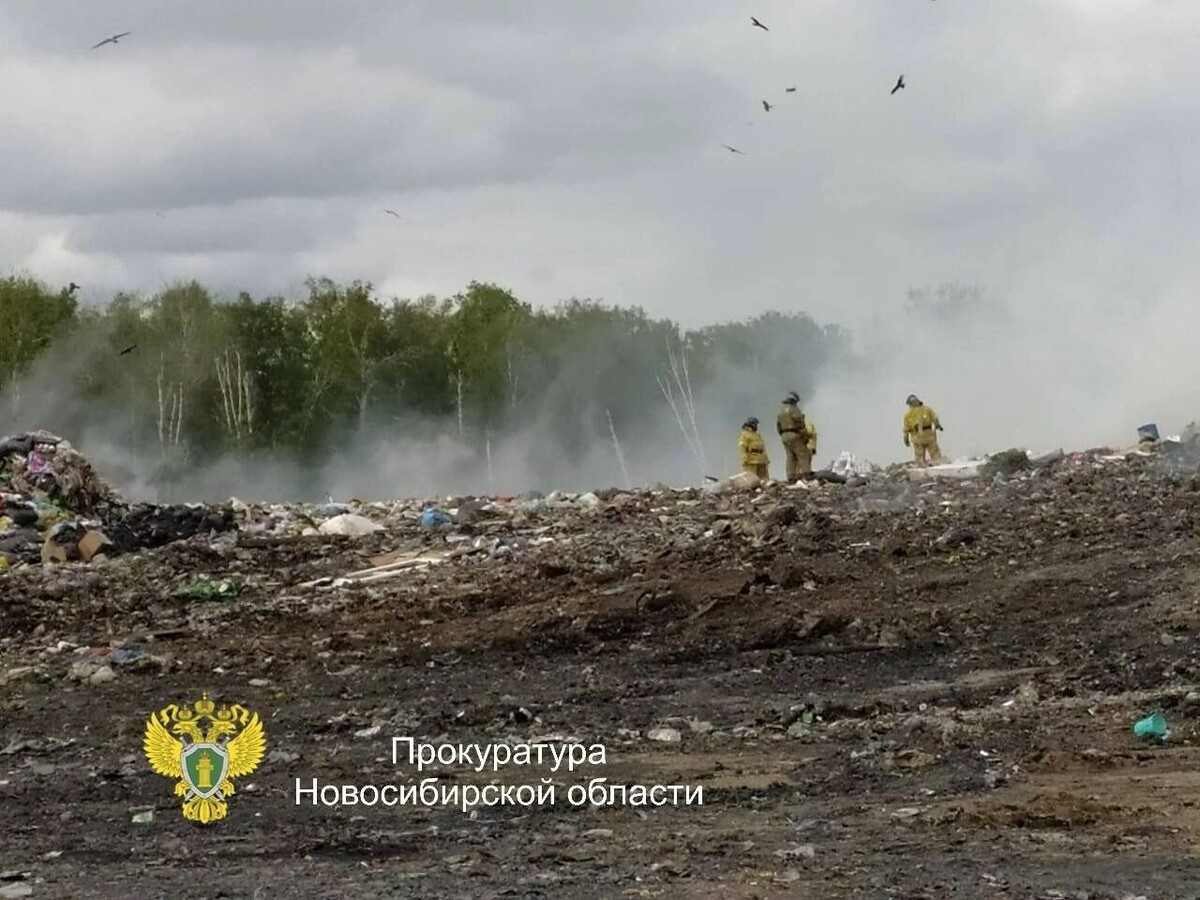     Источник: Прокуратура