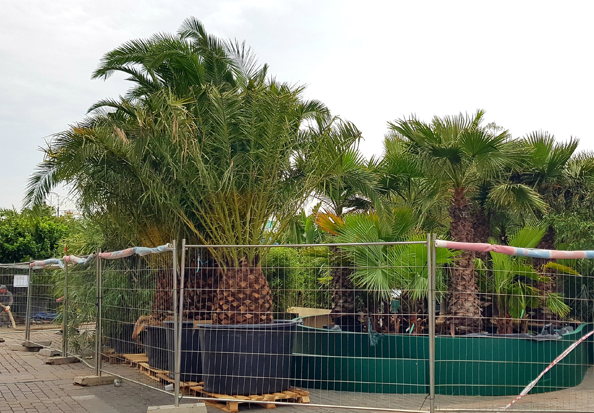 Манежная площадь 