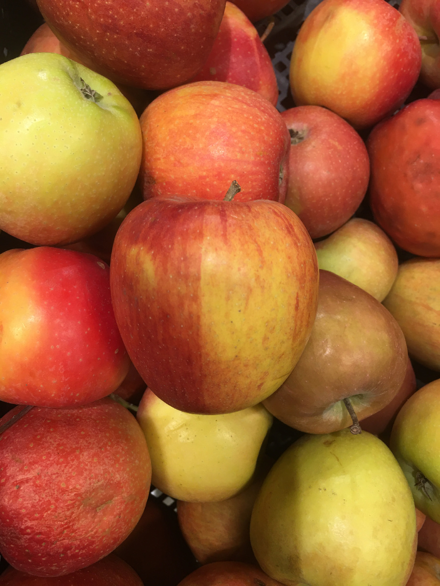 Как необычно яблоко покрашено 